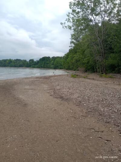 Delaware Park - Palms, MI