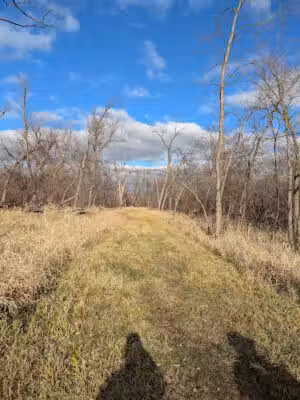 Palo Marsh Natural Area - Palo, IA