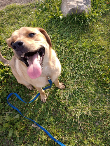 Pleasant Creek State Recreation Area - Palo, IA