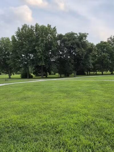 Morgan Creek Arboretum - Palo, IA