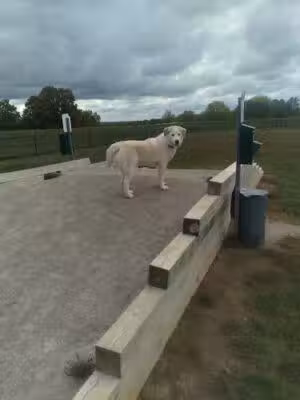 Paola Dog Park - Paola, KS