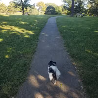 Friendship Park - Paoli, PA