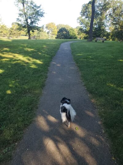 Friendship Park - Paoli, PA