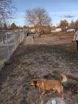 Walnut Creek Leash Free Dog Park - Papillion, NE