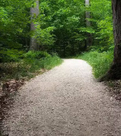 Tahquamenon Upper Falls Parking Lot - Paradise, MI