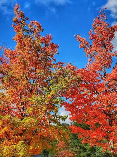 Tahquamenon Upper Falls Parking Lot - Paradise, MI