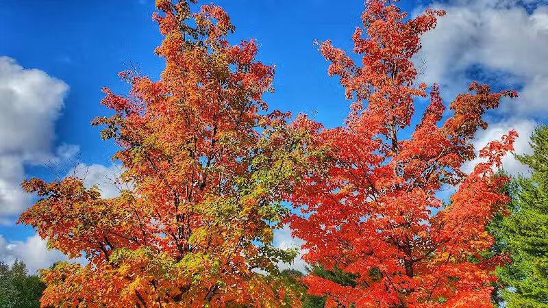 Tahquamenon Upper Falls Parking Lot - Paradise, MI