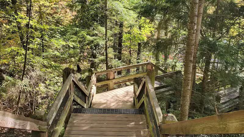 Tahquamenon Upper Falls Parking Lot - Paradise, MI