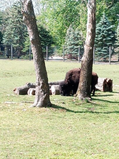 Van Saun County Park - Paramus, NJ