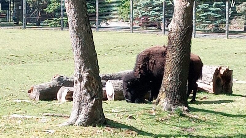 Van Saun County Park - Paramus, NJ