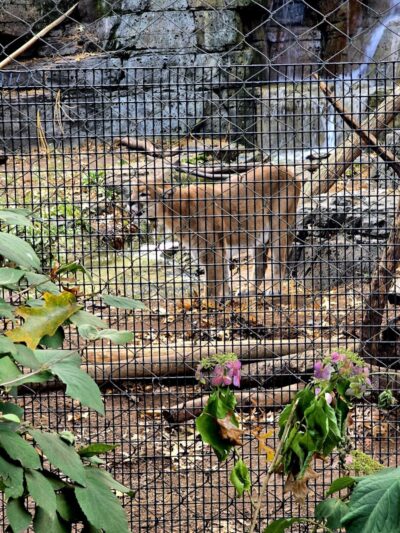 Van Saun County Park - Paramus, NJ