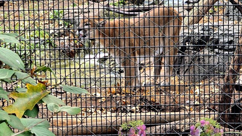 Van Saun County Park - Paramus, NJ