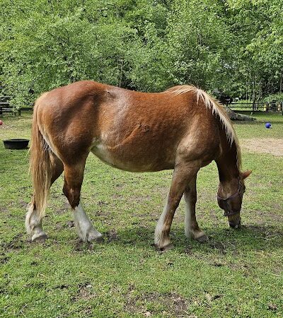 Van Saun County Park - Paramus, NJ