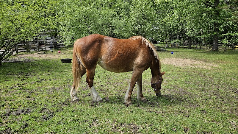 Van Saun County Park - Paramus, NJ