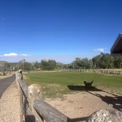 Willow Creek Dog Park - Park City, UT