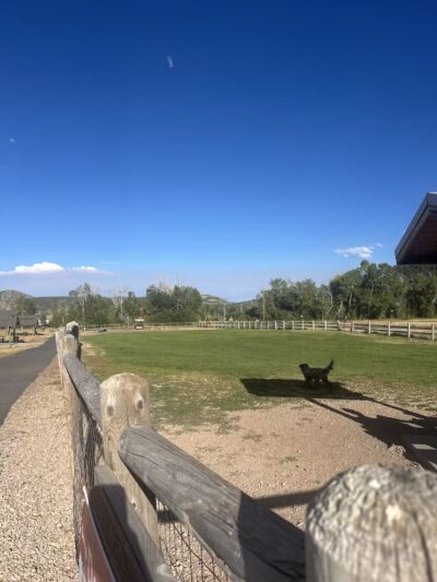 Willow Creek Dog Park - Park City, UT