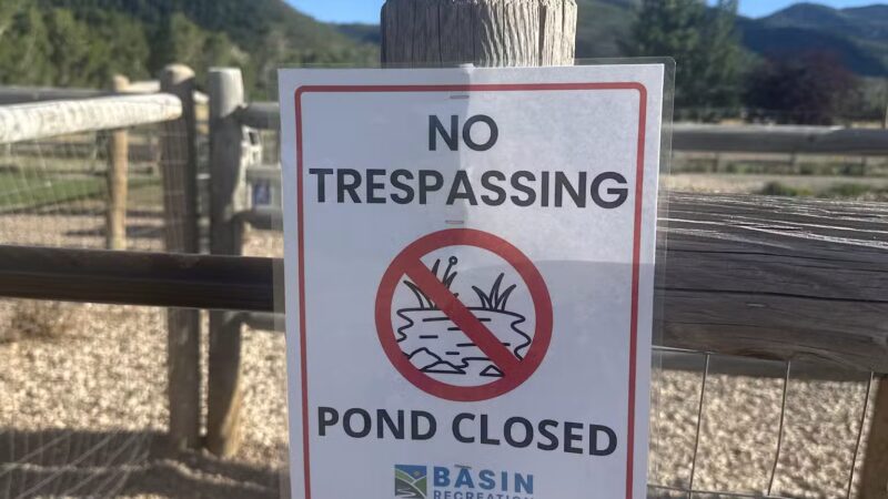 Willow Creek Dog Park - Park City, UT