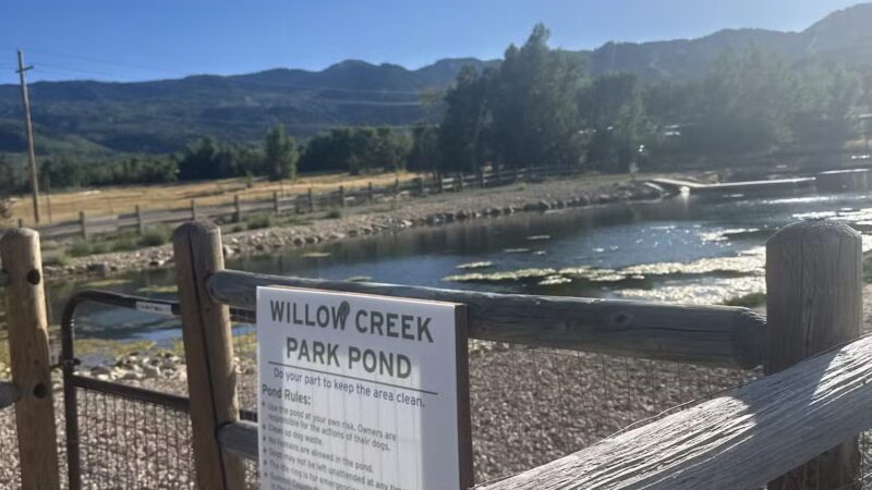 Willow Creek Dog Park - Park City, UT