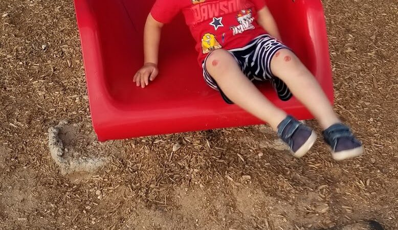 Pop Harvey Park - Parker, AZ