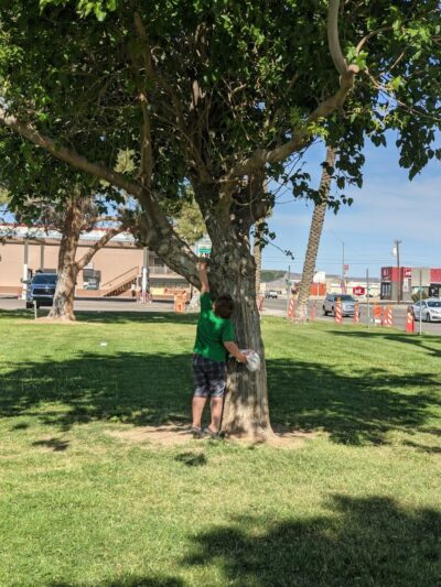 Western Park - Parker, AZ