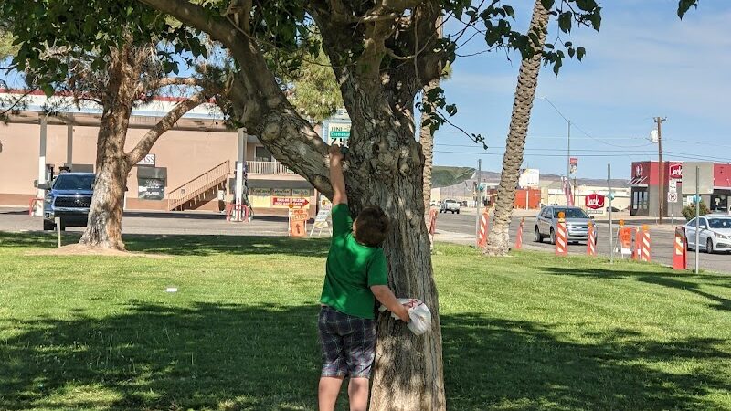 Western Park - Parker, AZ