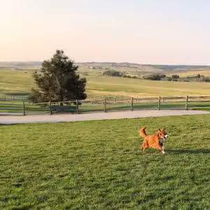 Bayou Gulch Dog Park - Parker, CO
