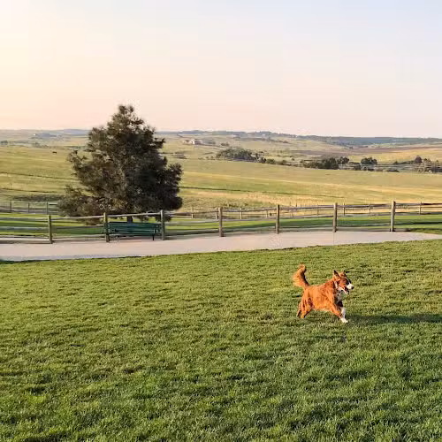Bayou Gulch Dog Park - Parker, CO