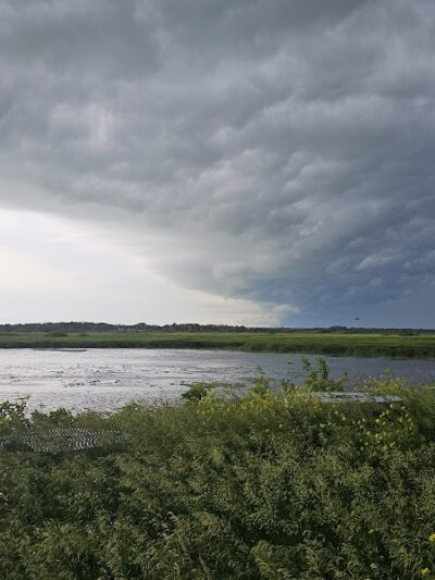 Big Marsh Wildlife Management - Parkersburg, IA