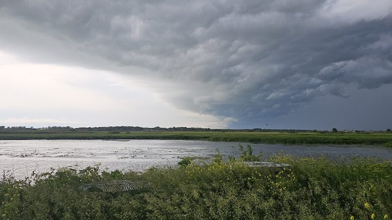Big Marsh Wildlife Management - Parkersburg, IA