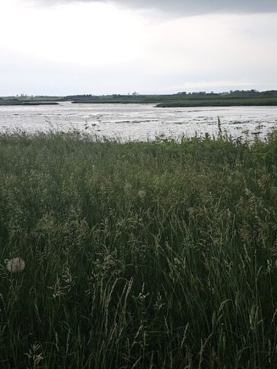 Big Marsh Wildlife Management - Parkersburg, IA