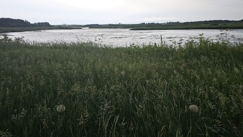 Big Marsh Wildlife Management - Parkersburg, IA