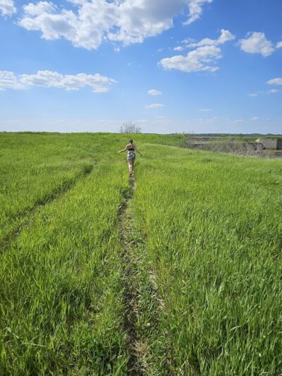 Big Marsh Wildlife Management - Parkersburg, IA
