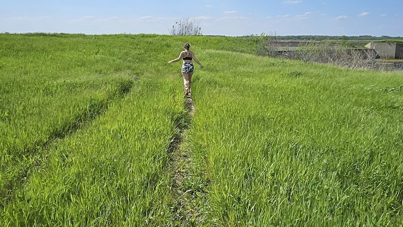 Big Marsh Wildlife Management - Parkersburg, IA