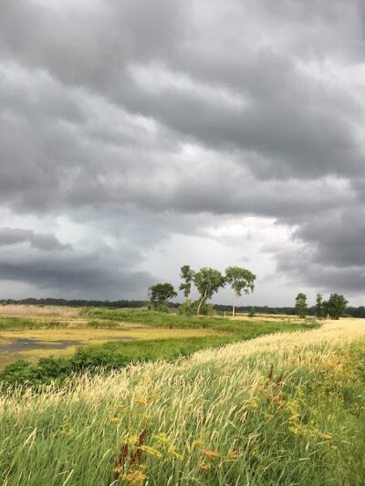 Big Marsh Wildlife Management - Parkersburg, IA