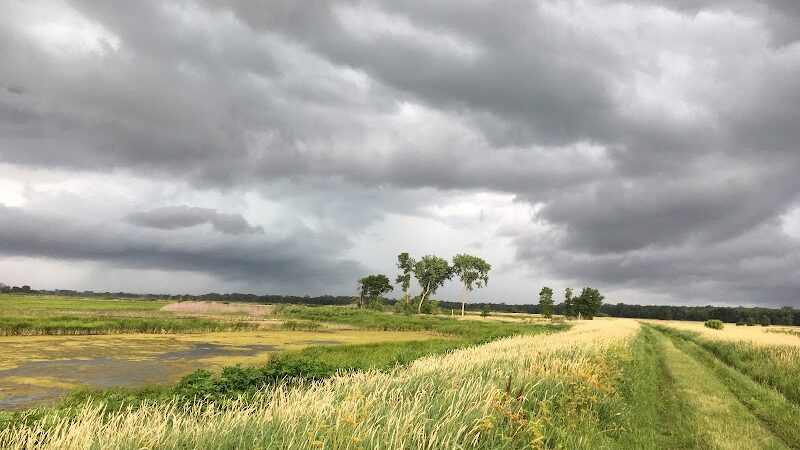 Big Marsh Wildlife Management - Parkersburg, IA