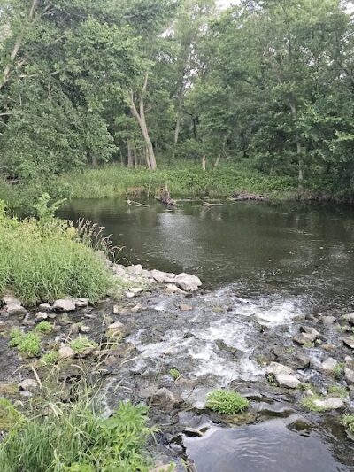 Big Marsh Wildlife Management - Parkersburg, IA