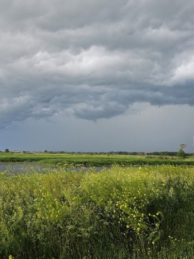 Big Marsh Wildlife Management - Parkersburg, IA