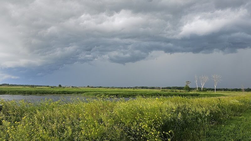 Big Marsh Wildlife Management - Parkersburg, IA