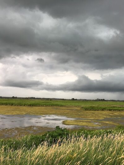 Big Marsh Wildlife Management - Parkersburg, IA