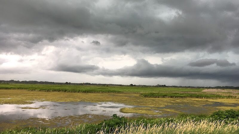 Big Marsh Wildlife Management - Parkersburg, IA