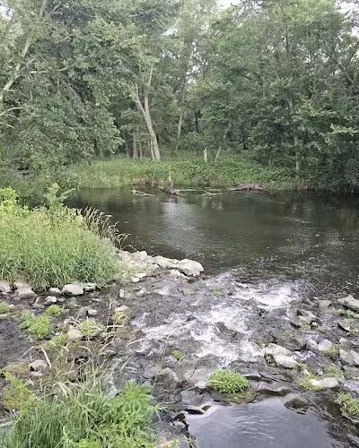 Big Marsh Wildlife Management - Parkersburg, IA