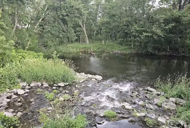 Big Marsh Wildlife Management - Parkersburg, IA