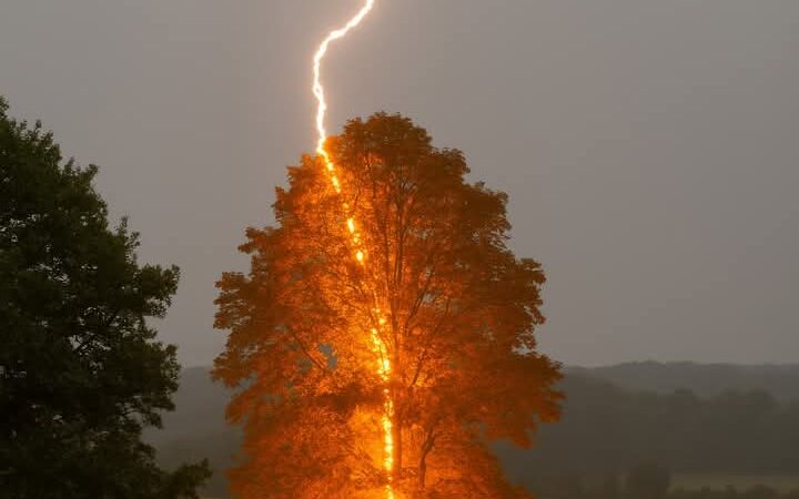 Schwartz Memorial Park - Parkersburg, IA
