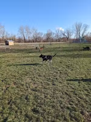 Platte Landing Park - Parkville, MO
