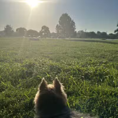 Platte Landing Park - Parkville, MO