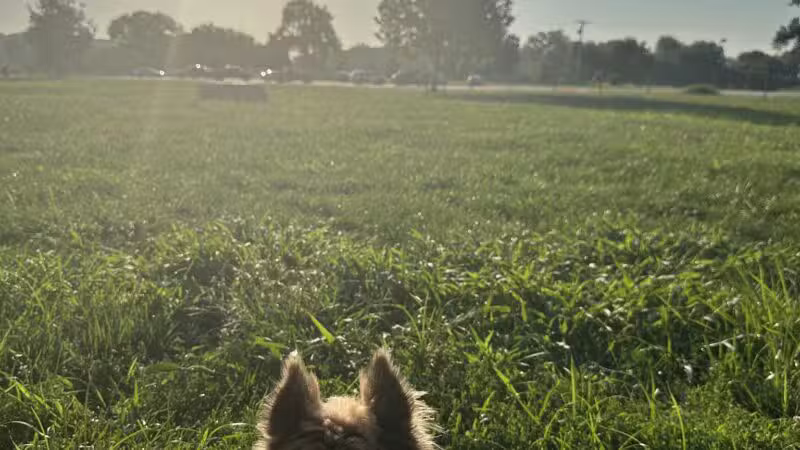Platte Landing Park - Parkville, MO