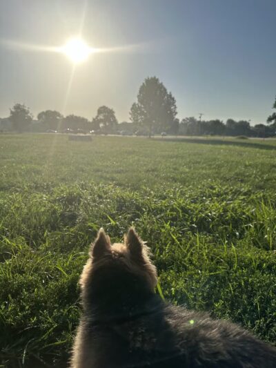 Platte Landing Park - Parkville, MO