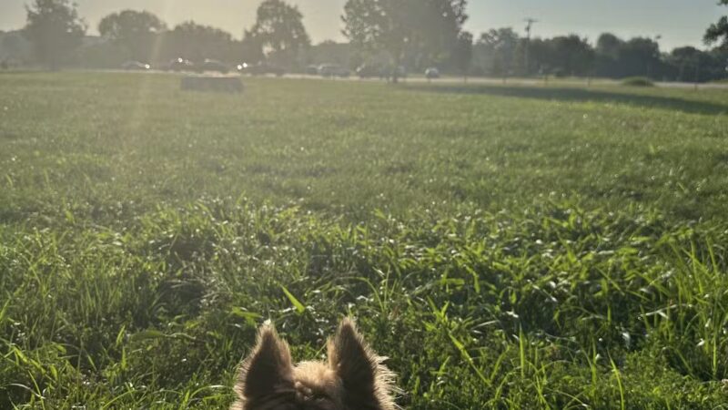 Platte Landing Park - Parkville, MO