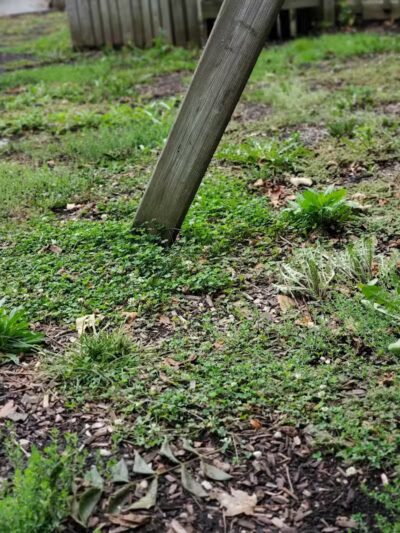 Groner Memorial Park - Parma,