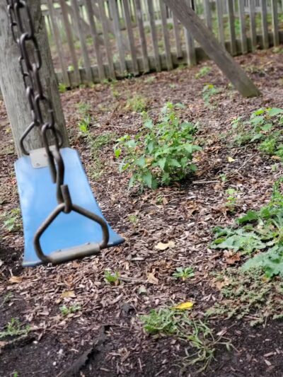 Groner Memorial Park - Parma,